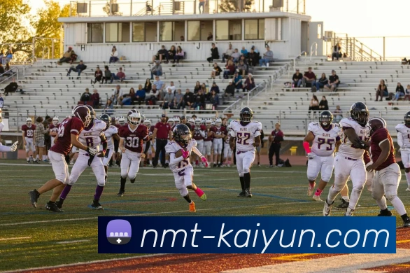 多媒体互动体验